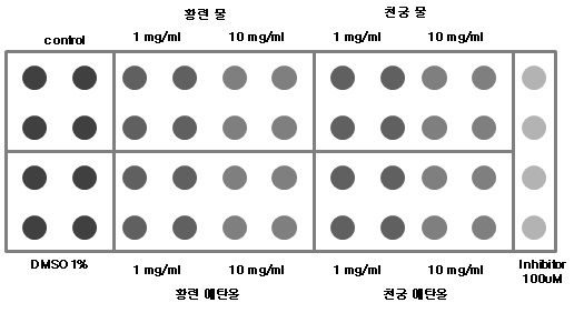 Fig. 94. Scheme of kinase substrate for protein kinase assay using a biochip based radio-phosphorylation