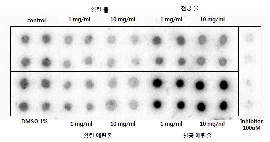 Fig. 100. Inhibition effect of plant extract concentration on protein kinase C assay