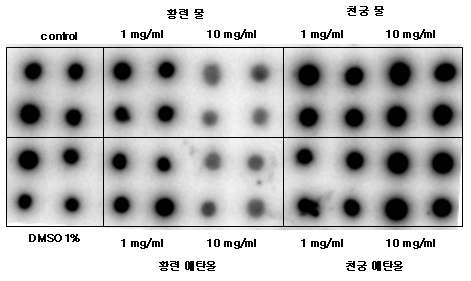 Fig. 102. Inhibition effect of plant extract concentration on Calcium/calmodulin-Dependent Protein kinase assay