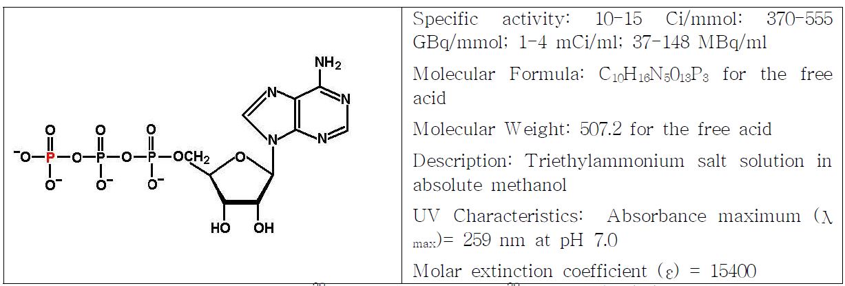 Fig. 6. Adenosine 5' -[γ-32P]triphosphate ([γ-32P]ATP)의 화학구조