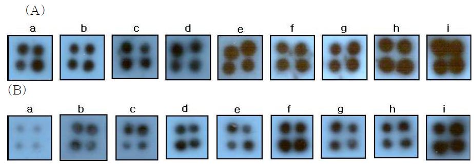 Fig. 54. Effect of PKC protein kinase concentration on kinase assay