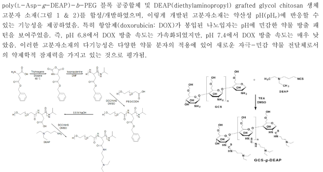 DEAP(diethylaminopropyl) grafted glycol chitosan 고분자소재의 합성 경로그림 1. Poly(L-Asp-g-DEAP)-b-PEG의 합성경로