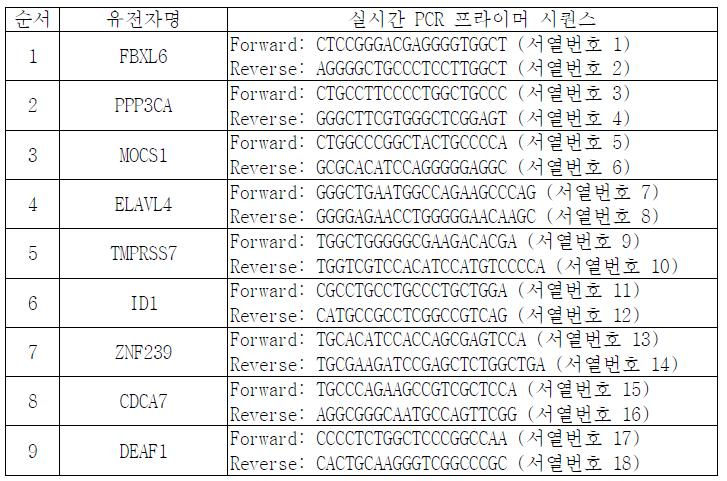 선별된 유전자 발현 확인용 프라이머 시퀀스