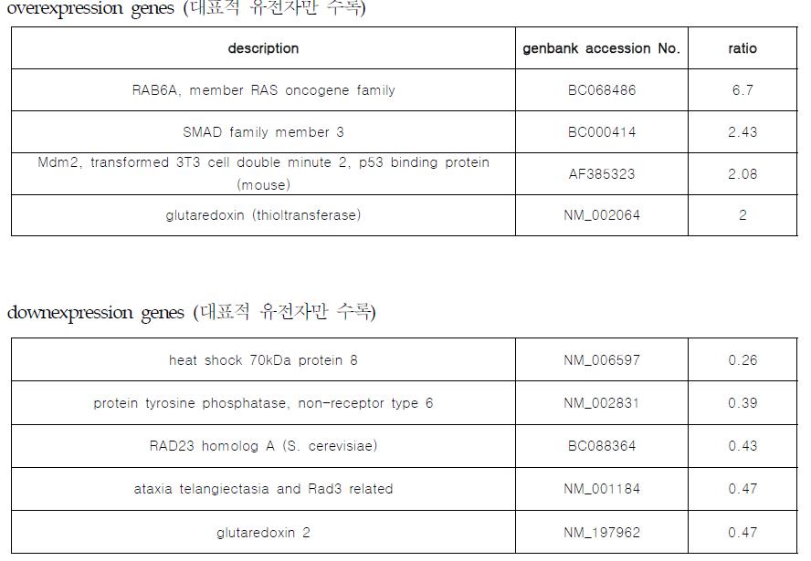 bcl2 와 nu-bcl2 stable cell에서 방사선 조사 시 발현 정도가 차이나는 단백질을 microarray를