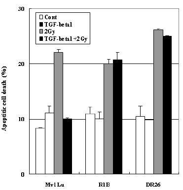 Mv1Lu과 TGF-beta 신호 전달 체계가 결여된 R1B (RI-)와 DR26 (RII-)에서 FACS 분석을 통한 방사선 유도성 apoptosis 비교