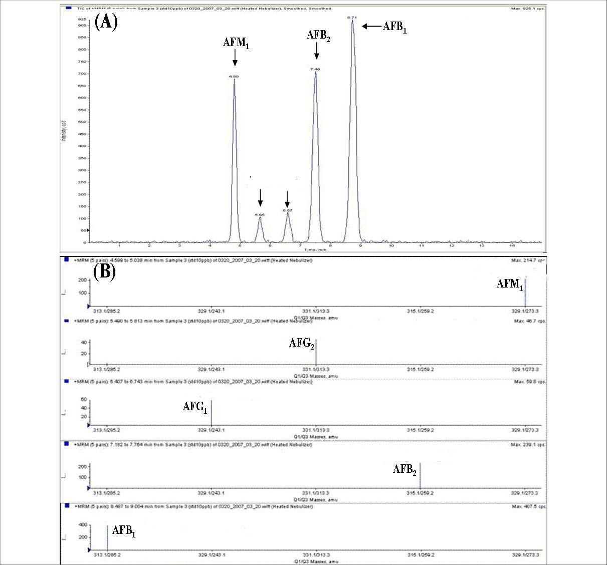 LC/MS/MS resμlts of standard AFB1, B2, G1, G2 and M1;LC chromatogram(A), LC/MS/MS spectrum(B).