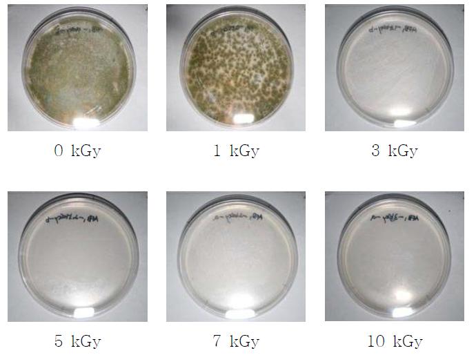 Influence of gamma-irradiation on the survival of aflatoxigenic fungi in feed on PDA.