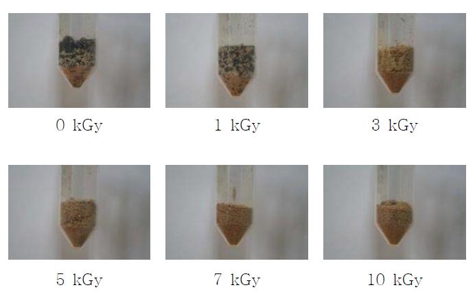 Influence of gamma-irradiation on the survival of Aspergillus spp. in feeds