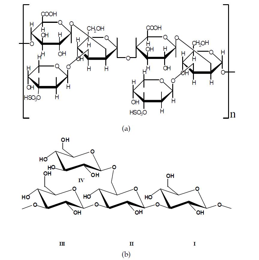 Structure of (a) fucoidan and (b) laminarin from brown seaweeds.