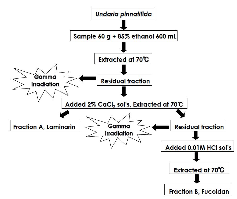 Extraction methods of the fucoidan and laminarin from low-grade Undaria pinnatifida.