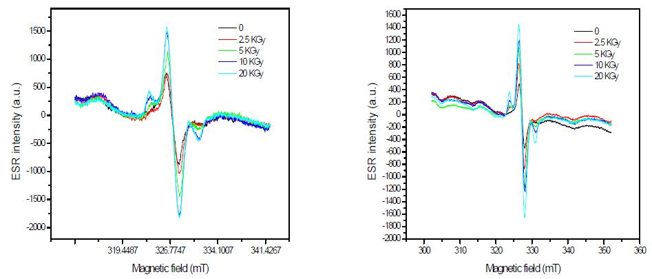 Typical ESR spectra of irradiated red pepper at different radiation sources (right: gamma-ray, left: electron beam).