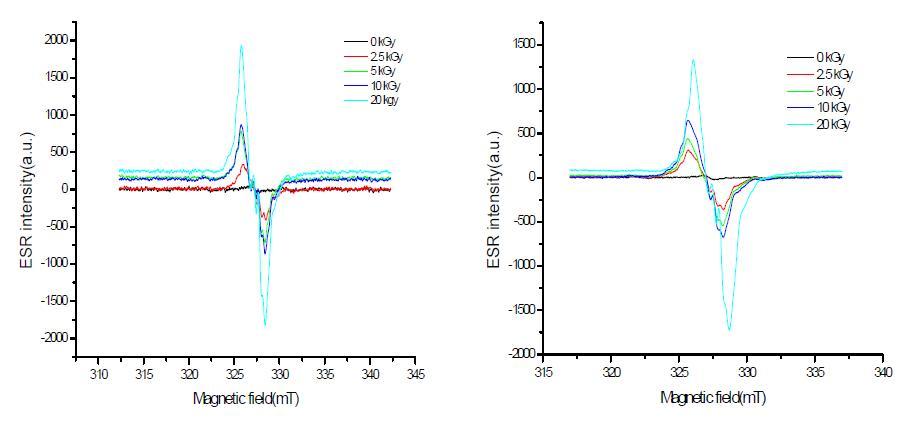 Typical ESR spectra of irradiated RS-1 at different doses (right: gamma-ray, left: electron beam).