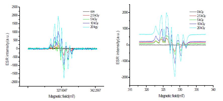Typical ESR spectra of irradiated S-1 at different doses (right: gamma-ray, left: electron beam).