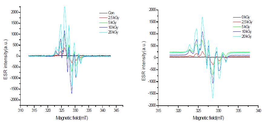 Typical ESR spectra of irradiated S-2 at different doses (right: gamma-ray, left: electron beam).