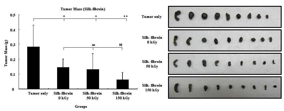 Anti-tumor activity of gamma-irradiated silk fibroin in tumor bearing mouse model.
