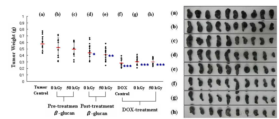 Effect of oral administration of β-glucan on the inhibition of tumor (B16BL6) growth in C57BL6 mouse. *p < 0.05, **p < 0.01, ***p < 0.001, compared with tumor control.