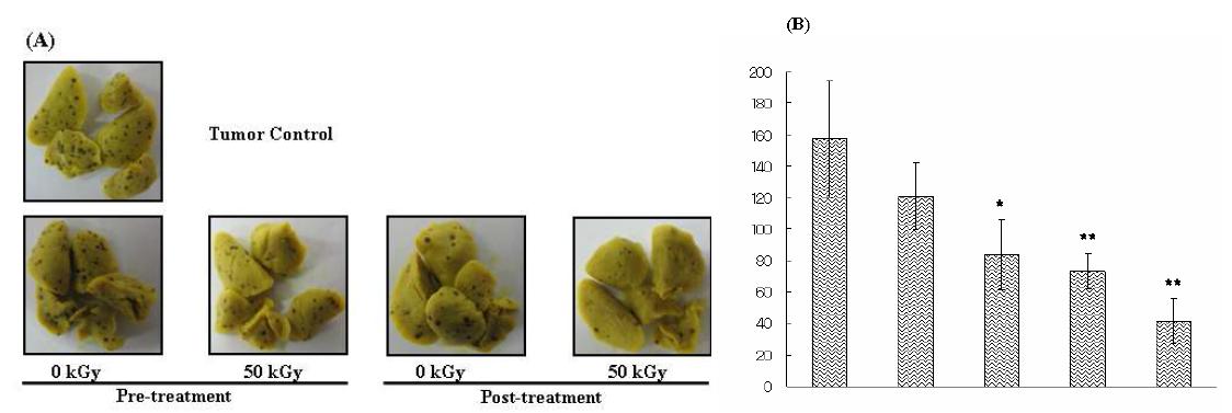 Effect of oral administration of β-glucan on the metastasis of tumor cell (B16BL6) in C57BL6 mouse. (A), The pictures of lung metastasis; (B), Number of cancer colony in lung by metastasis. *p < 0.05, **p < 0.01, compared with tumor control