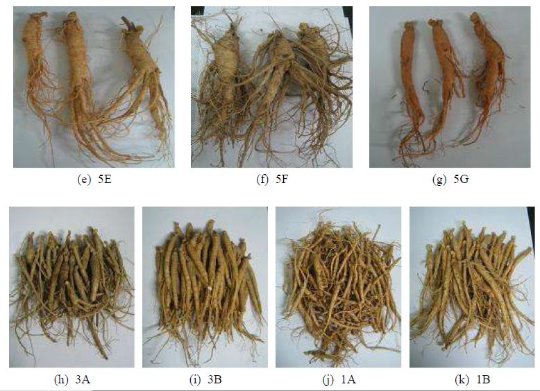 Figure 31. Categorized ginseng samples collected in domestic markets