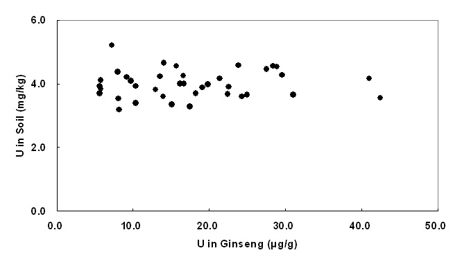 Figure 36. Relationship of U concentrations between soil and ginseng samples