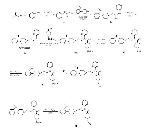 그림 42. [18F]MEFWAY 합성과정