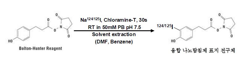 그림 59. 융합 단백체 나노 탐침제의 표지를 위한 125I-SHPP 제조