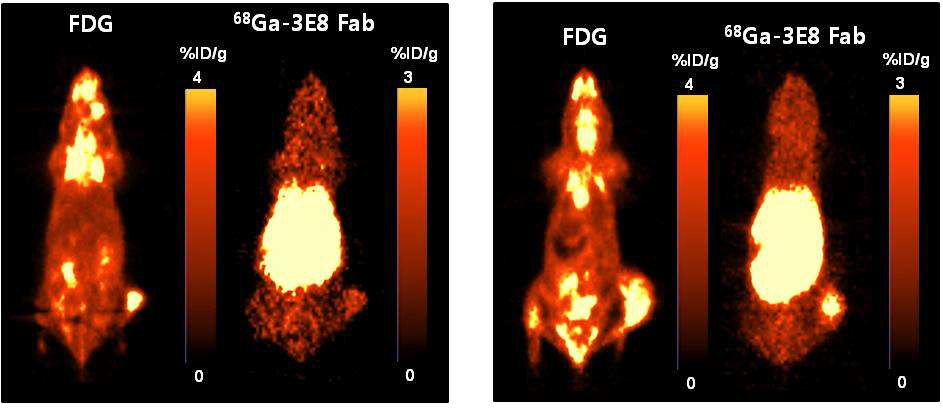 그림 70. FDG와 68Ga 3E8 Fab의 진단능 비교 영상