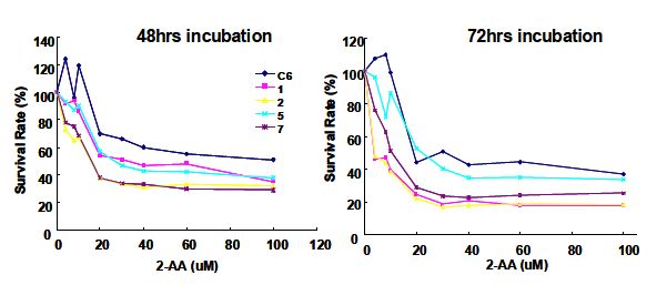 그림 86. C6와 cyp4B1유전자 레트로바이러스 이입 3개 클론의 2-aminoanthracene 시간별 처리 후의 세포생존율