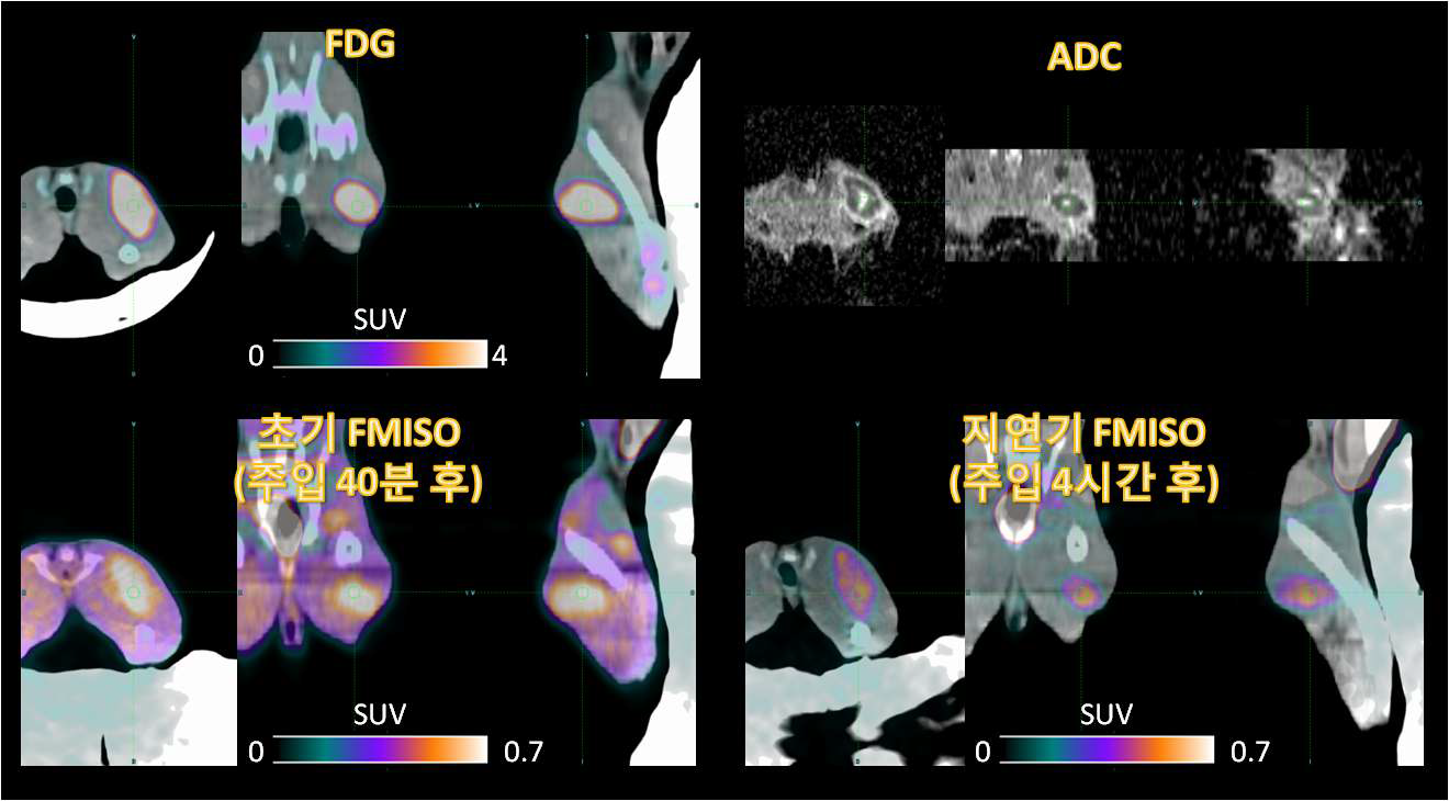 그림 106. FDG, 초기 FMISO, 지연기 FMISO, ADC 영상