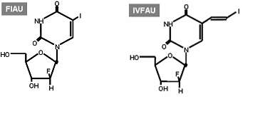 그림 109. 방사성핵종 표지 기질 FIAU와 IVFAU 개발
