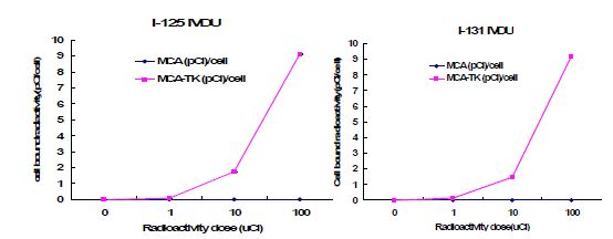그림 111. MCA와 MCA-TK에서 125I, 131I 표지 IVDU의 4시간 섭취율