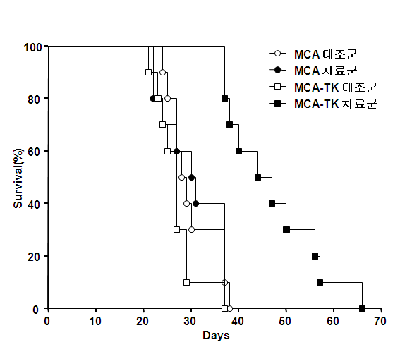 그림 140. MCA 또는 MCA-TK를 주사한 복강 내 종양모델의 대조군과 치료군의 생존곡선