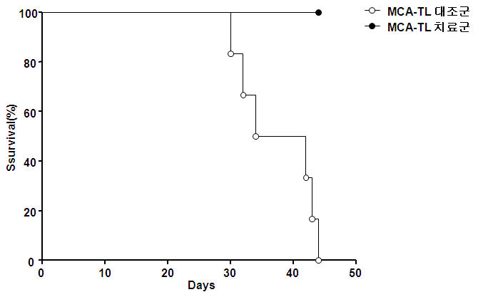 그림 141. MCA-TL 세포주의 정위간암모델의 대조군과 치료군의 생존곡선