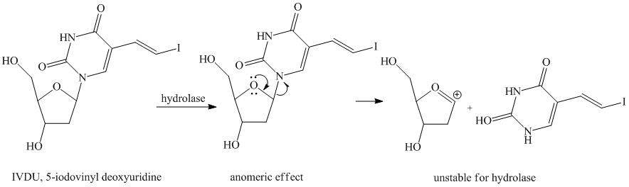 그림 1. The unstability of normal nucleosides in vivo study