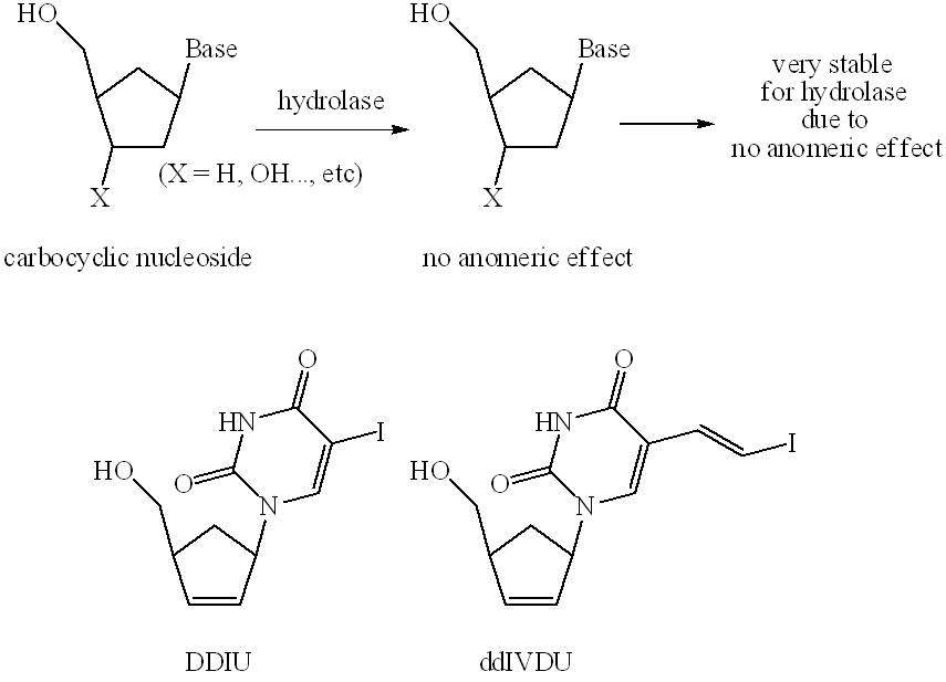 그림 3. The stability of carbocyclic nucleosides in vivo study and structure of DDIU & ddIVDU