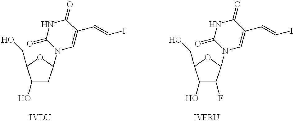 그림 2. The structure of IVDU and IVFRU