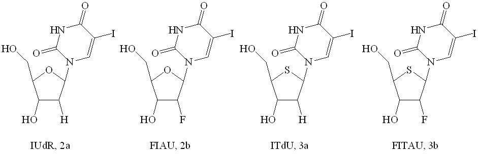 그림 4. The structures of IUdR, FIAU, ITdU and FITAU