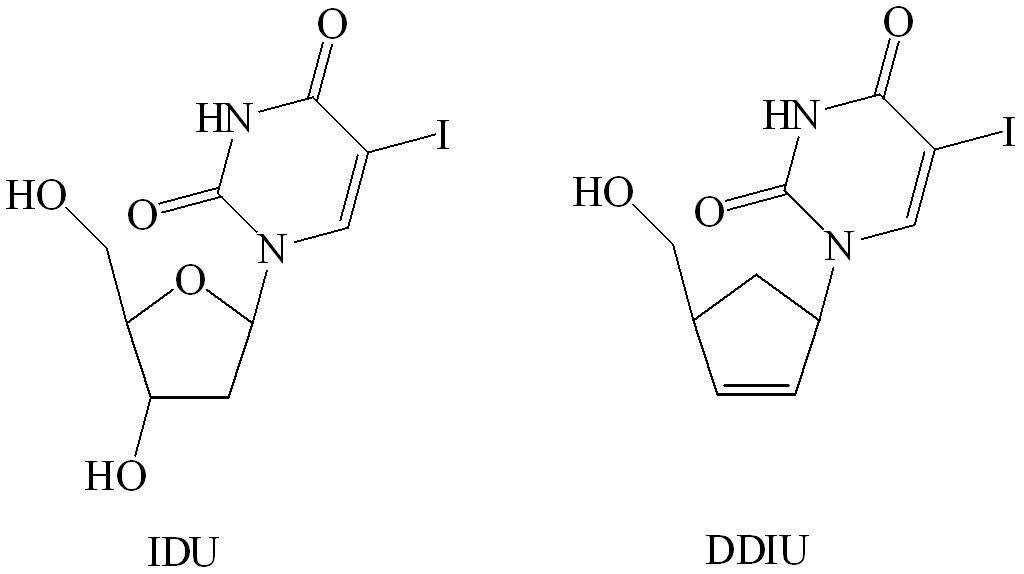 그림 7. The structure of IDU and DDIU