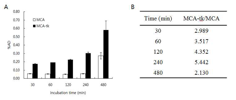 그림 15. (A) Cell uptake of [125I]carbocyclic ddIVDU by MCA-RH 7777(MCA) and MCA-tk(HSV1-tk positive) cells shows the results of selective uptake and retention.