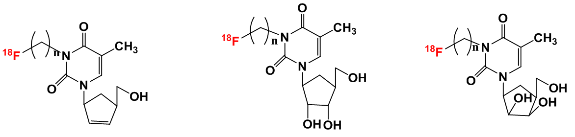 그림 16. The structure of N3-alkylated carbocyclic nucleosides