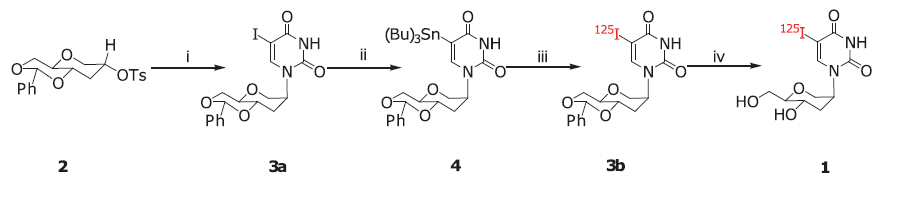 그림 20. Synthesis of 1-(tetrahydro-5-hydroxy-6-(hydroxymethyl)-2H-pyran-3-yl)-5-[125I]iodouracil