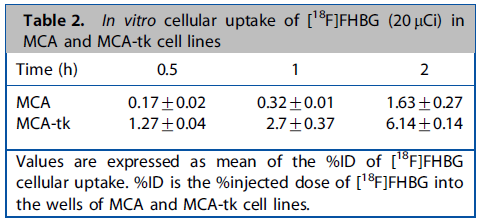 그림 23. MCA와 MCA-tk 세포주에서 [18F]FHBG (20 μCi)의 체외 세포 섭취율