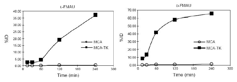 그림 28. In vitro cellular uptake of D-[18F]FMAU (20 uCi/well) and L-[18F]FMAU (20 uCi/well) in MCA-TK and MCA cells