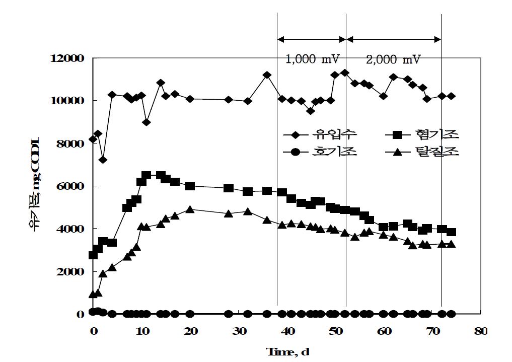 M-IEBR 공정의 실폐수 적용시 유기물 농도 변화.
