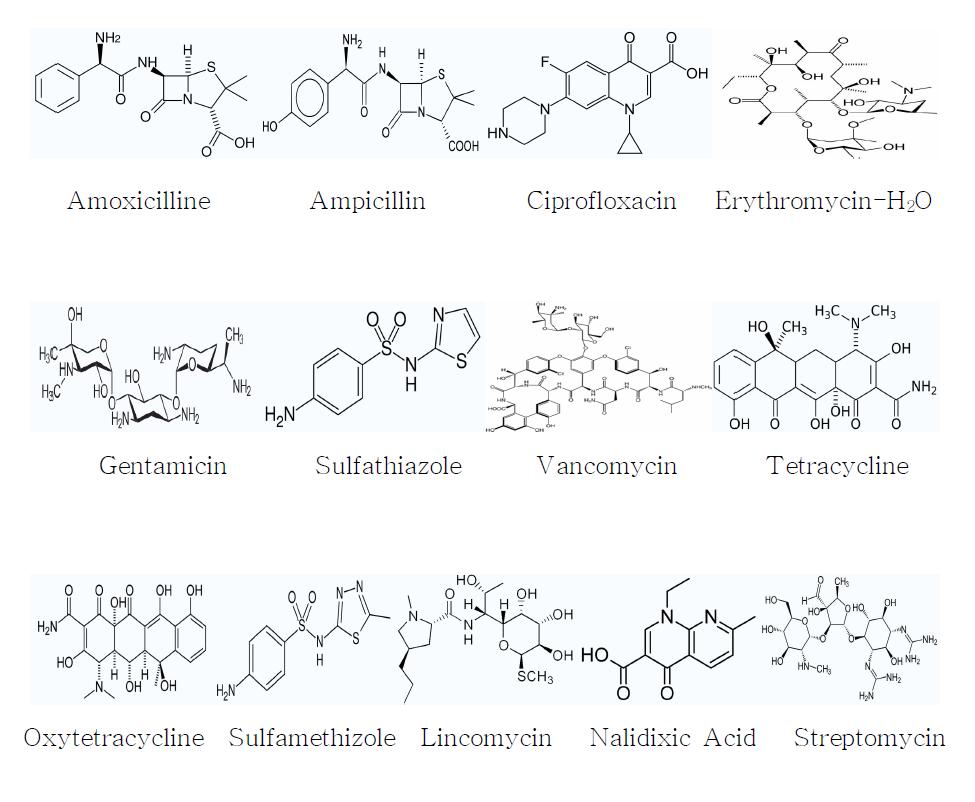 항생제 내성의 확인에 사용된 항생제 구조식.