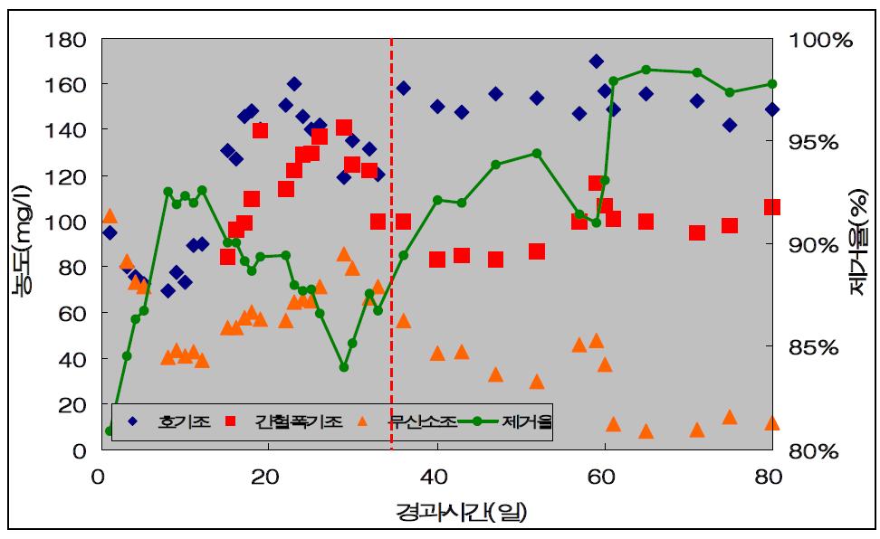 생물반응조를 이용하여 축산폐수(전자선 조사)를 처리하였을때 각 공정의 단계별 처리수 중의 NH3-N 농도.