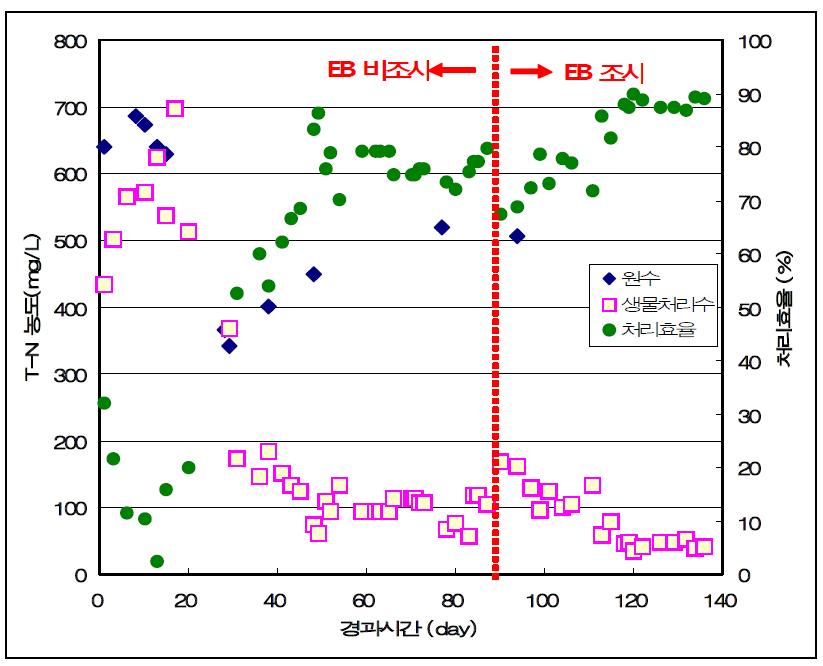 생물반응기를 이용한 축산폐수의 최종처리 후 내부에 남아있는 T-N의 잔류농도와 제거율.