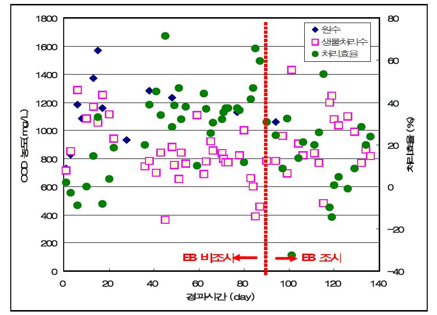 생물반응기를 이용한 축산폐수의 최종처리 후 내부에 남아 있는 COD의 잔류농도와 제거율.