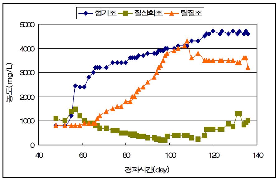 생물반응기의 경과시간에 MLSS 변화.