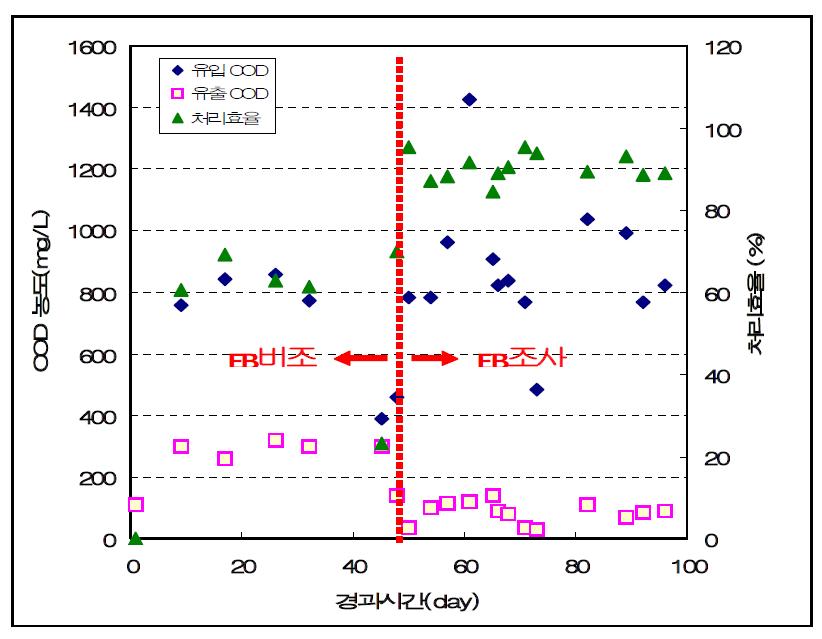 생물반응기 처리후 COD의 농도변화와 처리효율.