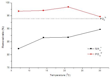 온도변화에 따른 NH4+ 및 PO43- 제거효율.
